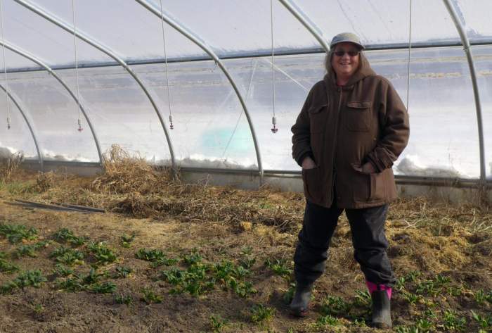 Productores orgánicos buscan nueva etiqueta a medida que crecen las dudas sobre los Estándares Nacionales