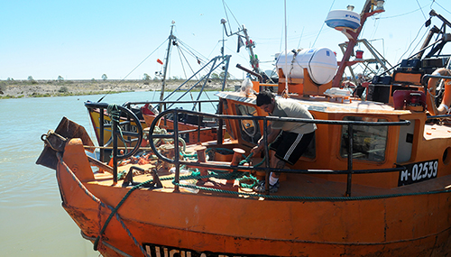 Rusia habilitó la importación de 25 nuevas empresas pesqueras argentinas