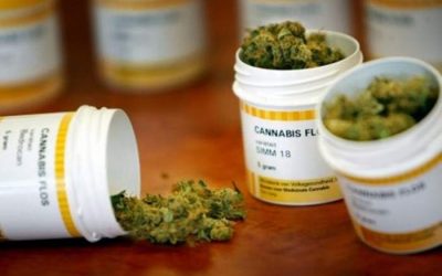 La tercera edad entra en la fiebre del cannabis en Estados Unidos