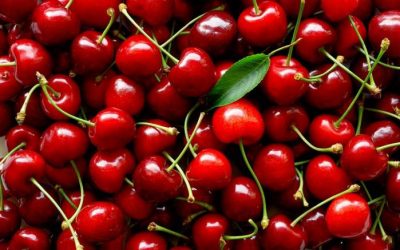 Las cerezas frescas ya pueden obtener el sello de calidad Alimentos Argentinos