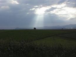 Prevén incremento térmico, acompañado por lluvias sobre extremo centro- oriental del área agrícola