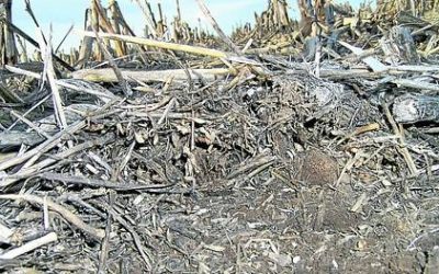 Tecnología para conservar y recuperar los suelos en Santiago del Estero