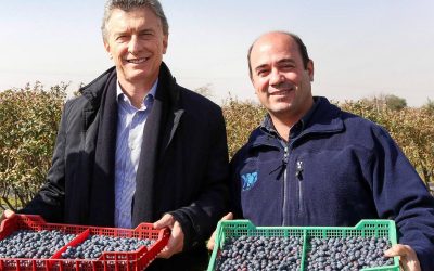 Macri visitó campos de arándanos en Tucumán y se comprometió a reducir alícuotas de exportación