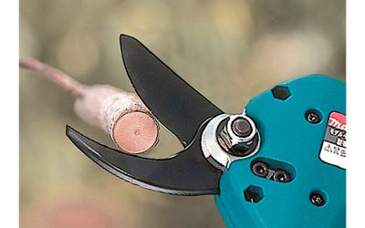 Modernización tecnológica para productores de Mendoza y San Juan