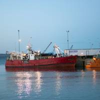 Agroindustria suspende preventivamente a buques pesqueros de langostino