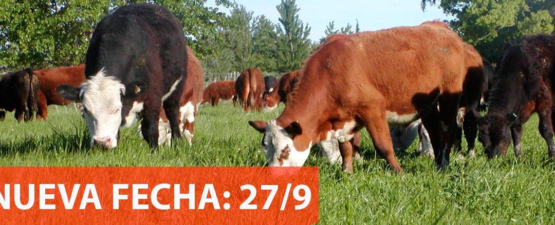 Potencialidad ganadera en los Valles Patagónicos:  Nueva jornada a campo del IPCVA