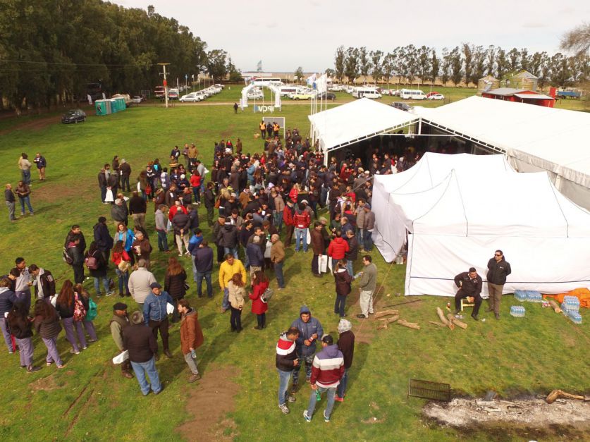 Más de 500 productores se dieron cita en la jornada a campo del IPCVA en Tres Arroyos