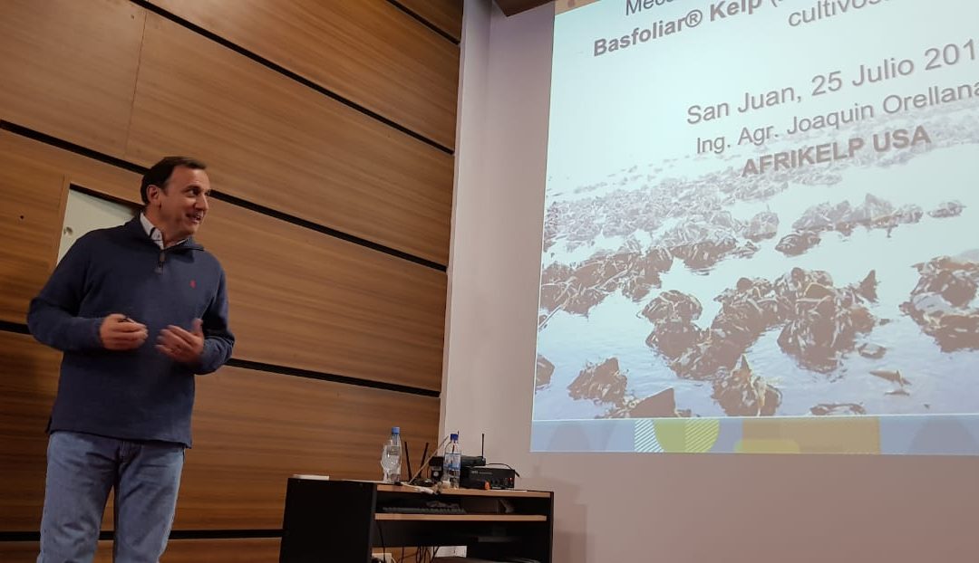 Un alga como aliada de la productividad