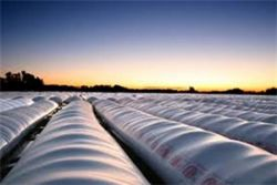 El agro, la llave del segundo semestre: las ventas de granos podrían aportar hasta un 44% más de ingresos que en 2025