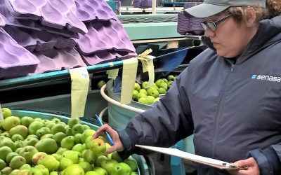 Comenzó la inscripción en el RENSPA a frutihorticultores de la Patagonia