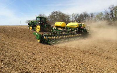 La siembra de soja finalizó con 18,4 millones de hectáreas, un 6,36% superior a la campaña pasada