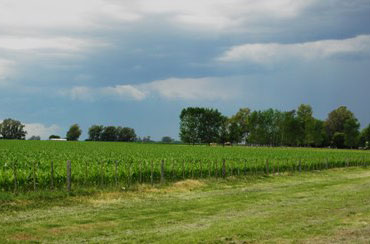 Prevén tiempo cálido, acompañado por precipitaciones de variada intensidad, con fuerte descenso térmico