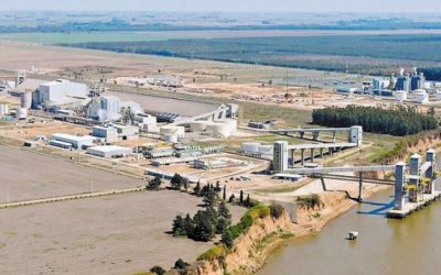 El Gobierno anunció la intervención estatal de Vicentín y su intención de expropiar la empresa