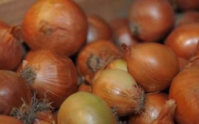 Cada variedad de cebolla tiene su beneficio para la salud