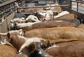 «Con la autogestión, los productores podrán ahorrar 200  millones de pesos», aseguró Sarquís
