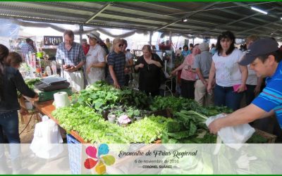 Buenas prácticas agrícolas: fundamentales hoy en los sistemas productivos de frutas y hortalizas