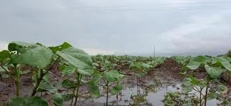 Imágenes satelitales para mejorar la gestión del agua