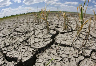 Cambio Climático: Así dejaríamos de perder 17.000 millones de dólares en la región