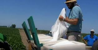 Fertilizar en soja y maíz se volvió hasta 25 % más caro, según la Bolsa de Cereales de Córdoba