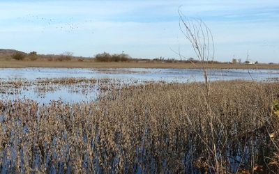 Luchando contra la Madre Naturaleza, el Gobierno y el poderoso Río Missouri