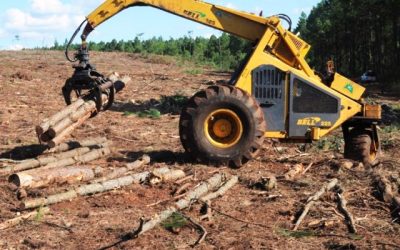 Agroindustria lanzó nuevo visualizador de extracciones forestales