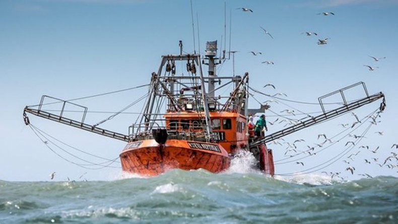 El consejo Federal Pesquero estableció los permisos de captura máxima en 2019