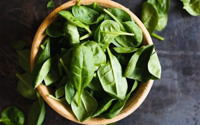 Espinacas, todo son ventajas