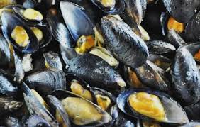 Restablecen la extracción de moluscos bivalvos y  gasterópodos en la costa bonaerense