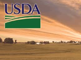 Coletazos de la «guerra comercial» en el agro aquí y allá