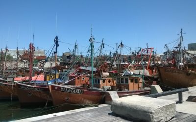 Enfoque pesquero en Mar del Plata