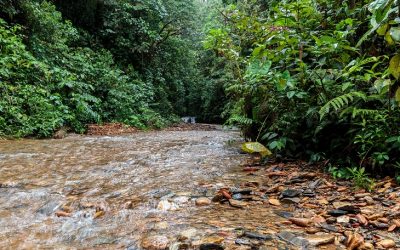 Balance ambiental de 2018