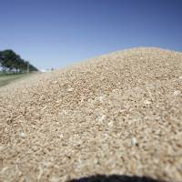 El 93% de los molinos de trigo adquirieron los controladores electrónicos