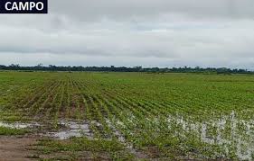 Clima de corto plazo