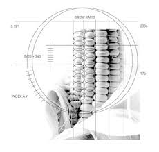 El tema de macroeconomía argentina es la deuda