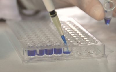 Nanoanticuerpos de llamas: de qué se trata el mejor invento de Latinoamérica