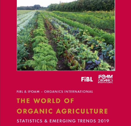 El Área Orgánica Global alcanza otro récord histórico