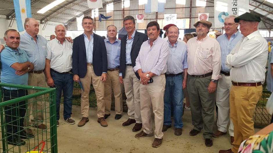 Para CARBAP urge eliminar el peso mínimo de faena si se pretende expandir el negocio ganadero