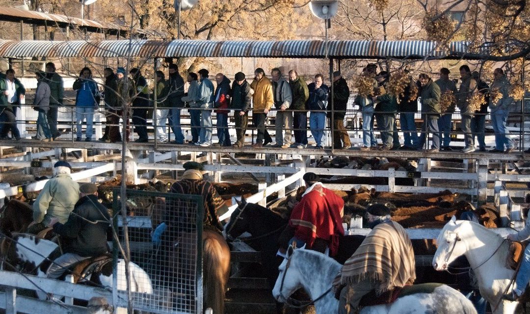 Otra semana de alzas notorias en Liniers ¿Habrá llegado al techo?