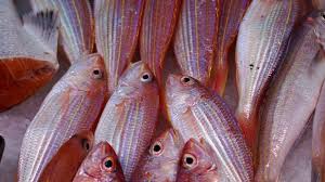 El consumo interno de productos pesqueros cayó casi un 5% en 2018