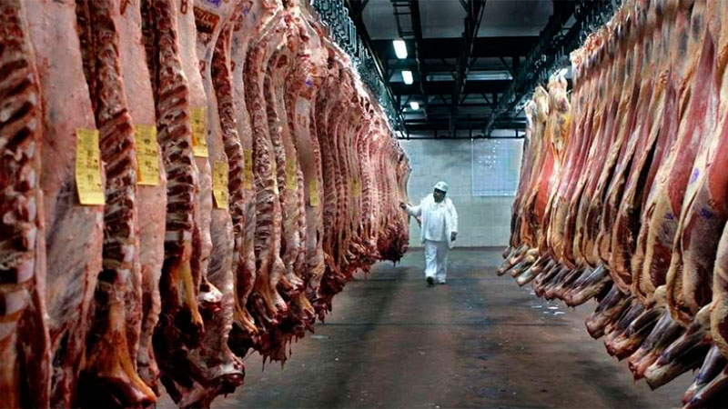 Las exportaciones de carne vacuna en 2018 fueron las más elevadas de los últimos nueve años