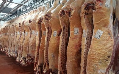 El consumo de carne vacuna bajó de los 50 kilos por habitante