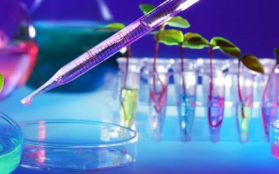 Quiénes son las 5 científicas argentinas que están cambiando la salud de los humanos y del planeta