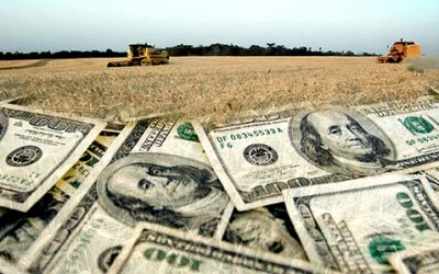 La soja y el maíz rompieron el récord del 2021 y generaron exportaciones por cerca de US$ 32.000 millones el año pasado