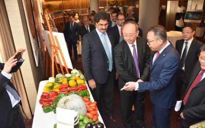 Agricultura y alimentos, eje de acuerdos entre provincias de Buenos Aires y China