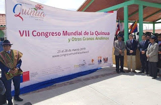 Argentina, uno de los protagonistas del Congreso Mundial de Quinua
