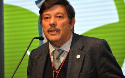 Elecciones e institucionalidad