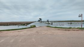 Por el cambio climático una zona que surgió con la soja ahora vive del trigo