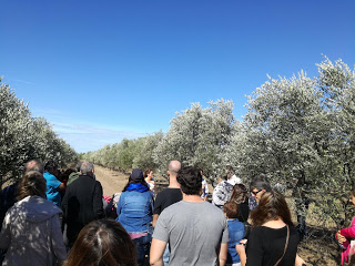 El aceite de oliva fue el protagonista del fin de semana