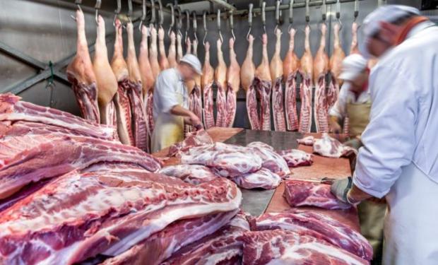 Semana de la carne porcina: su consumo es una opción beneficiosa para la salud
