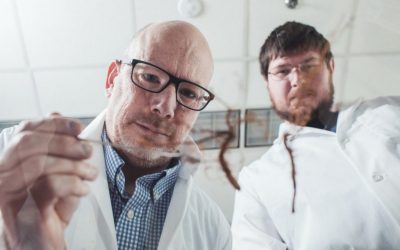 Investigadores de Virginia Tech encuentran nuevos conocimientos sobre la biodiversidad del suelo, el motor global de la Tierra